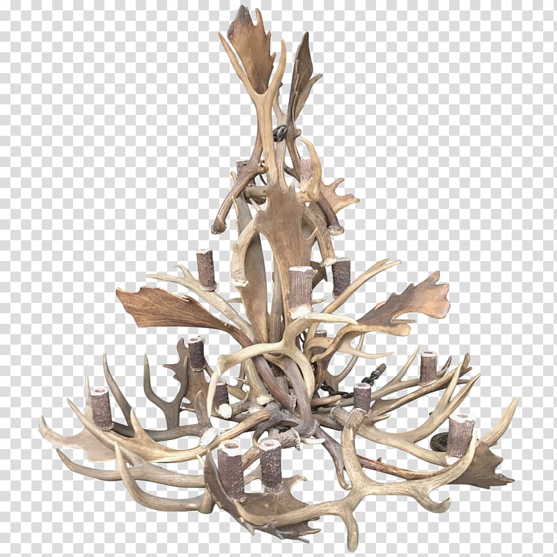 Antler Chandelier Light fixture White-tailed deer, chandelier transparent background PNG clipart