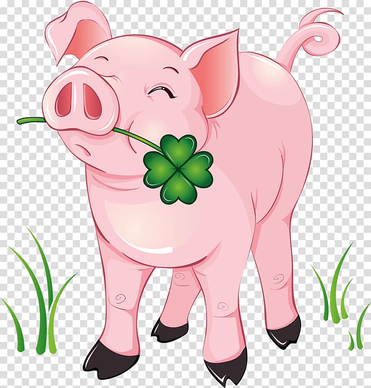 Domestic pig Piglet , pig transparent background PNG clipart