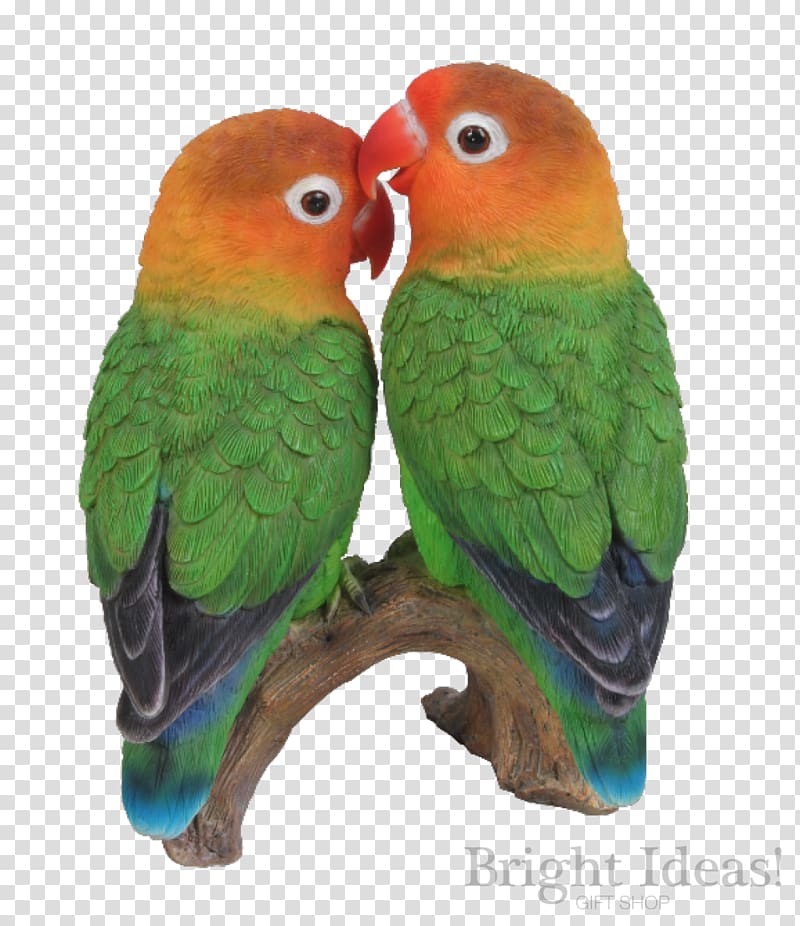 Lovebird Parrot Ornament Art, Love bird transparent background PNG clipart