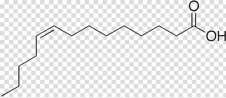 Myristoleic acid Fatty acid desaturase Myristic acid, others transparent background PNG clipart