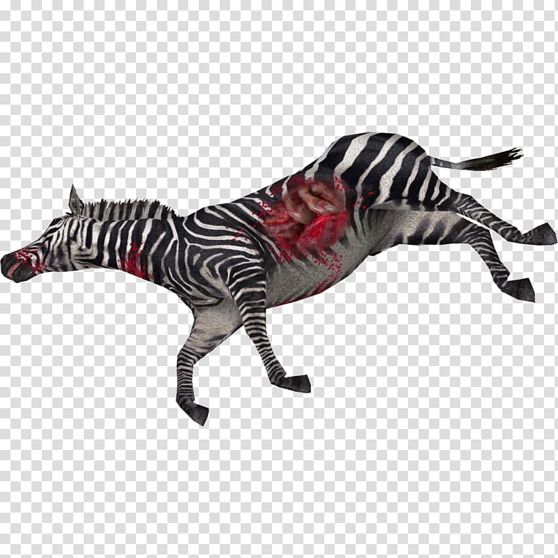 Zebra , deadanimal transparent background PNG clipart