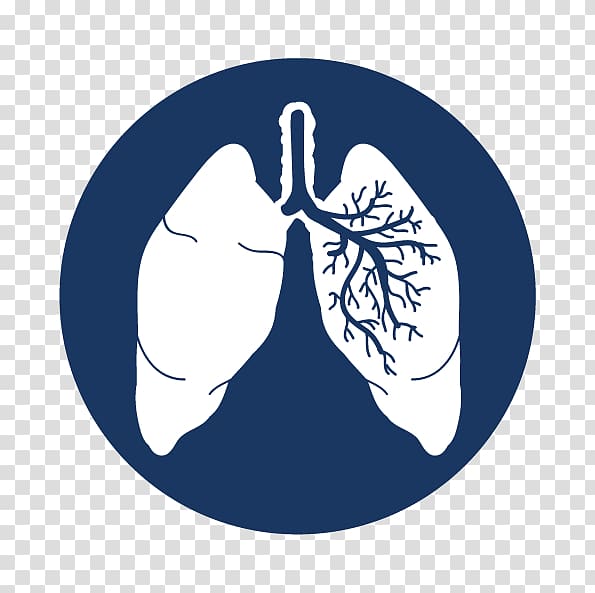 Lung cancer Organism Abemaciclib, lunge transparent background PNG clipart
