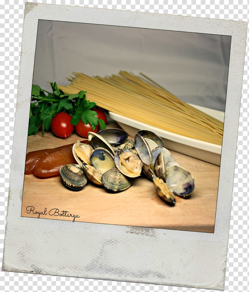 Clam Mussel Oyster Still life Frames, primo piatto transparent background PNG clipart