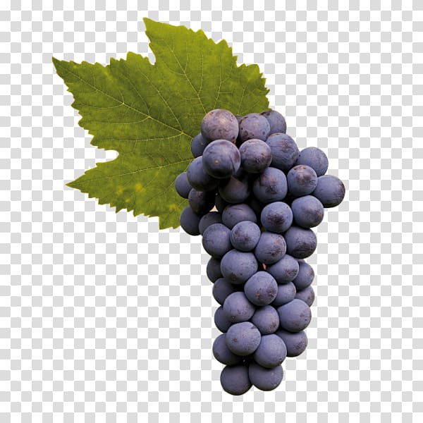 Sultana Asti DOCG Moscato d\'Asti Grape, grape transparent background PNG clipart