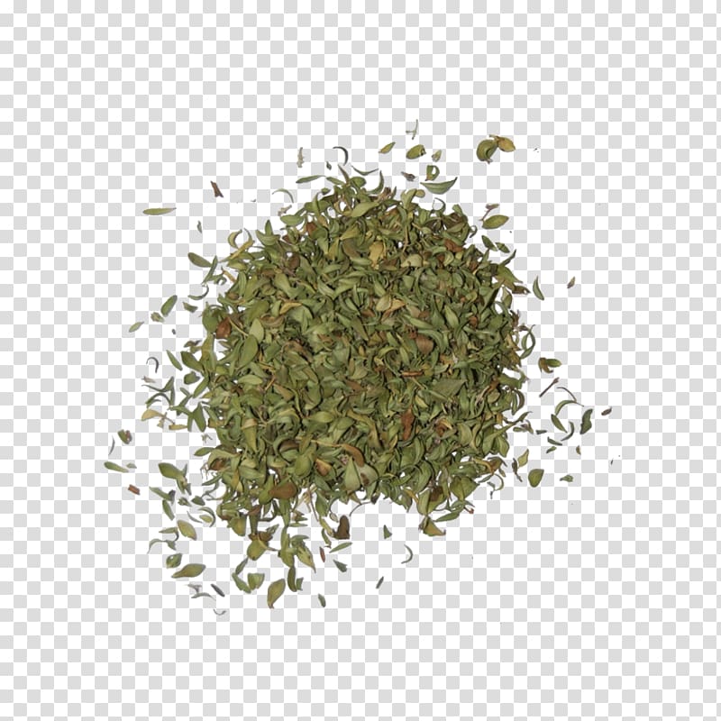 Tea Gyokuro Bancha Thymus citriodorus Shincha, Herbs transparent background PNG clipart