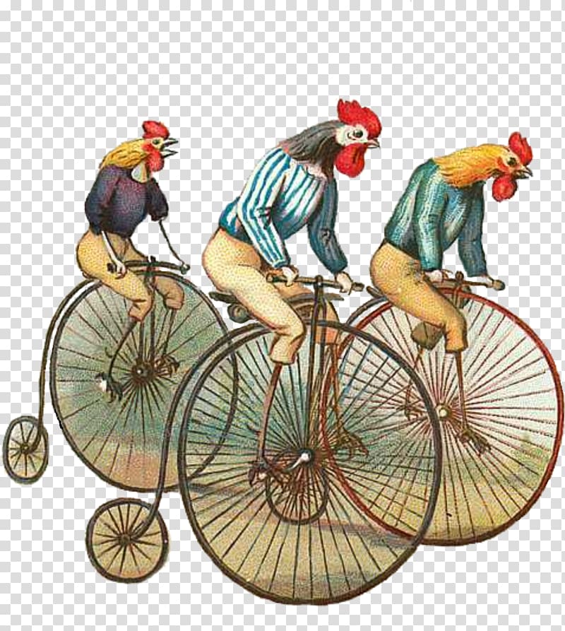 T-shirt Chicken Bicycle Cycling Penny-farthing, matting transparent background PNG clipart
