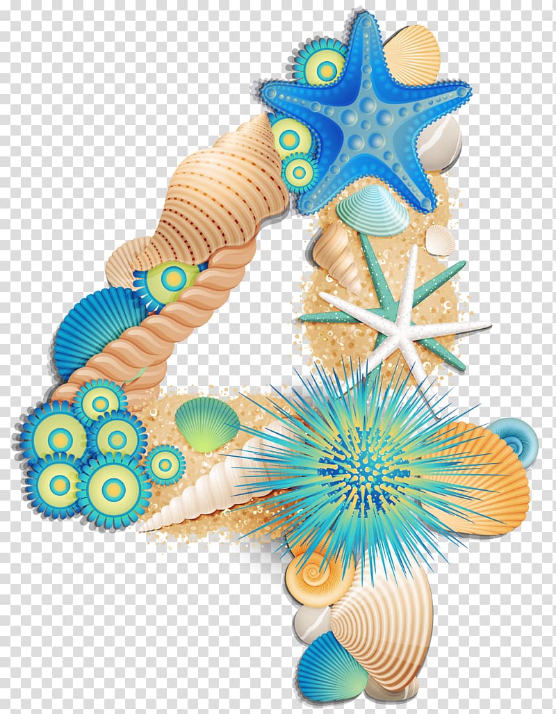 seashells, sea urchin, and starfish illustration, Number , Number Four Sea Style transparent background PNG clipart