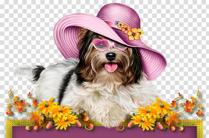 Puppy Yorkshire Terrier Poodle Cat , puppy transparent background PNG clipart