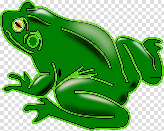 Common frog , amphibian transparent background PNG clipart