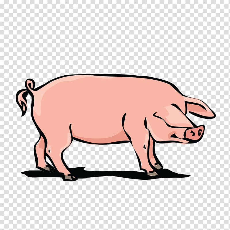 Domestic pig Pork , boar transparent background PNG clipart