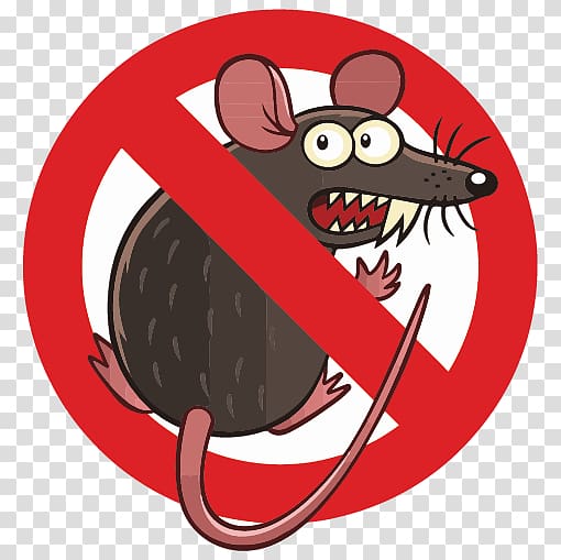 Rodent Mouse Rat , mouse transparent background PNG clipart