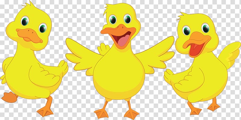 Duck Drawing , duck transparent background PNG clipart