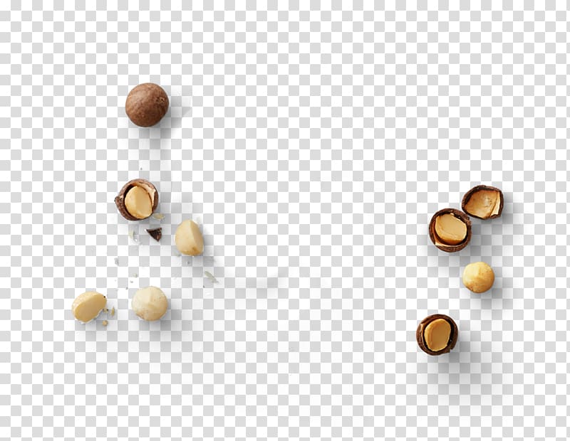 Superfood, macadamia nuts transparent background PNG clipart
