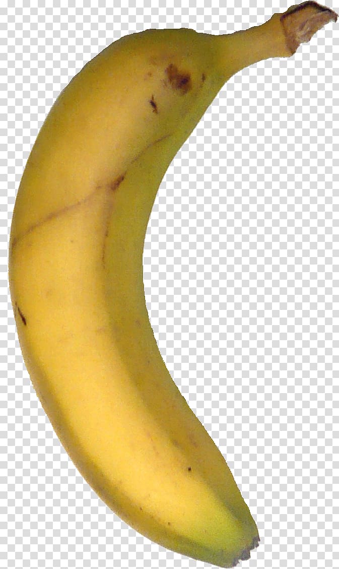 Banana PNGs for Free Download