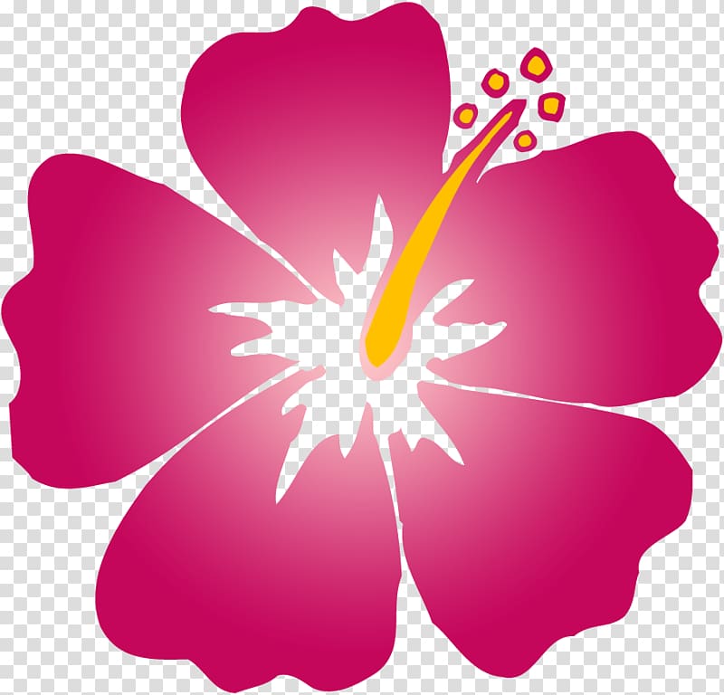 Hawaiian hibiscus Alyogyne huegelii Flower , Hawaii flower transparent background PNG clipart