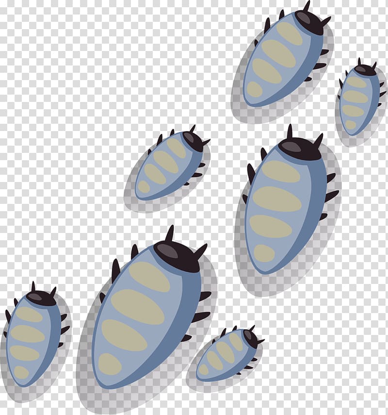 Computer Icons, insect transparent background PNG clipart