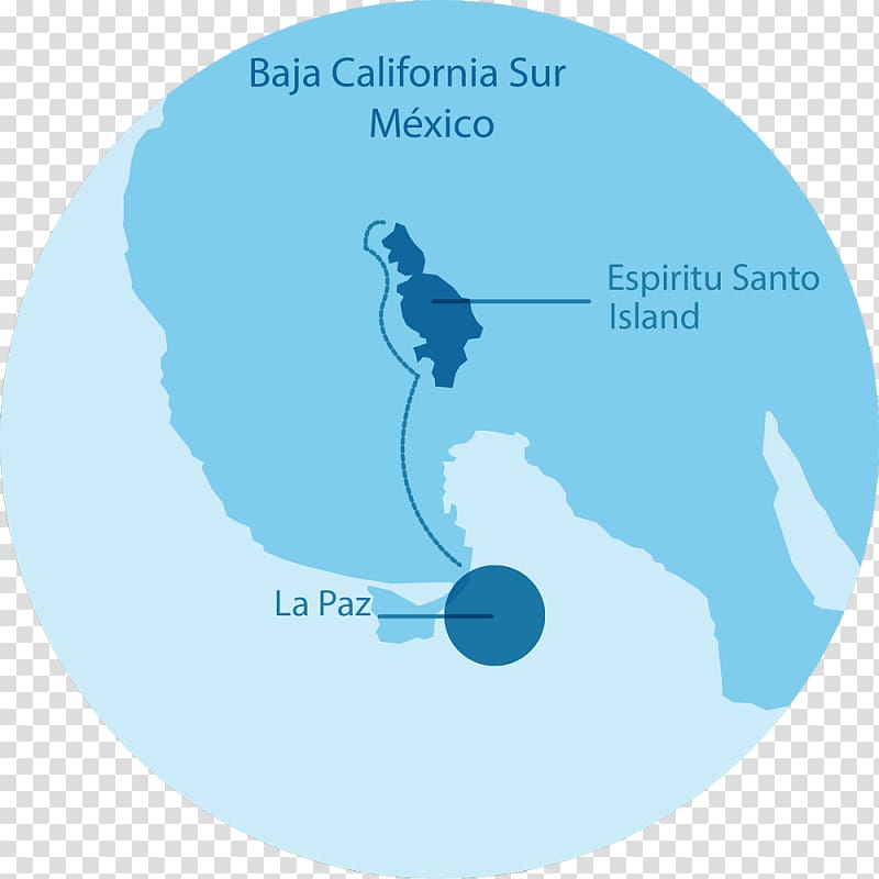 Isla Espíritu Santo RED Travel México UNESCO Sea lion, islamic decorative map transparent background PNG clipart