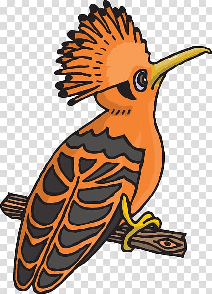 African hoopoe Bird , Hoopoe transparent background PNG clipart