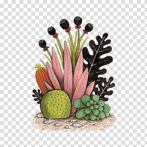 assorted-color succulent plants illustration, Cactaceae Watercolor painting Succulent plant Illustration, Multi potted meat transparent background PNG clipart