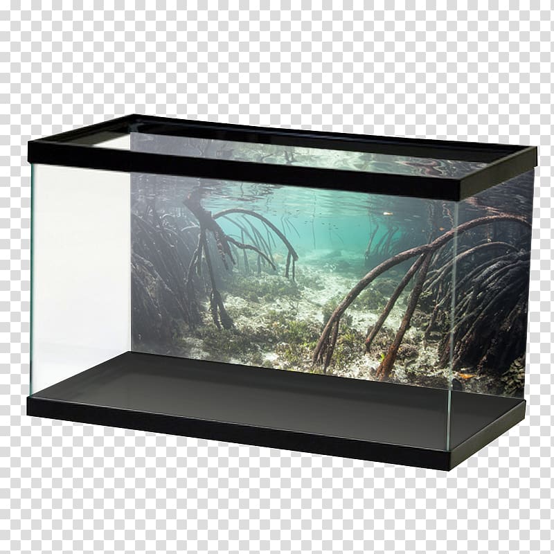 Aquarium Aquascaping Tetra Paludarium Akwaterrarium, others transparent background PNG clipart