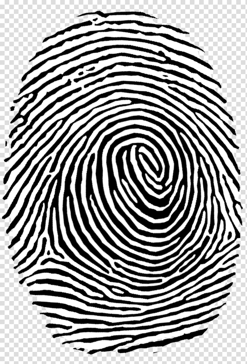 Fingerprint Fingerprint Authentication Fingerprint Transparent Background Png Clipart