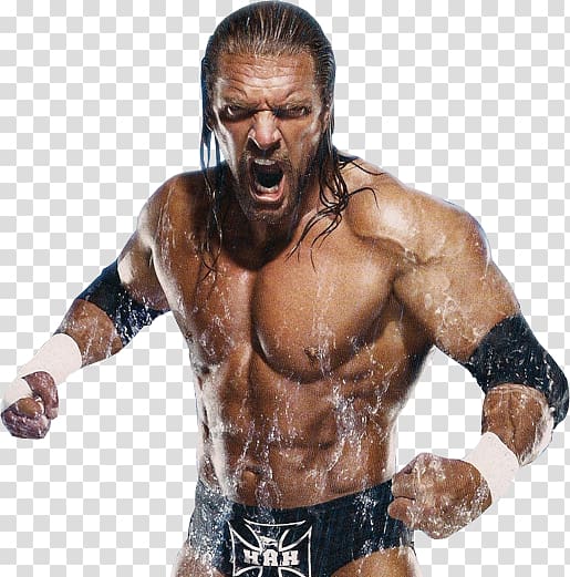 Hunter Hearst Helmsly World Heavyweight Championship WWE Championship WrestleMania XXVII Professional Wrestler, triple h transparent background PNG clipart