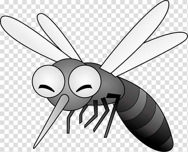 Mosquito Insect Black and white Fly, mosquito transparent background PNG clipart