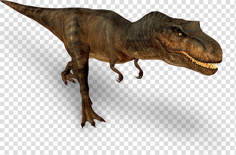 brown and black T-rex , T Rex Top View transparent background PNG clipart