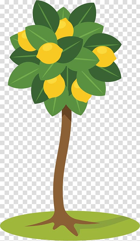 Lemon Tree , lemon transparent background PNG clipart