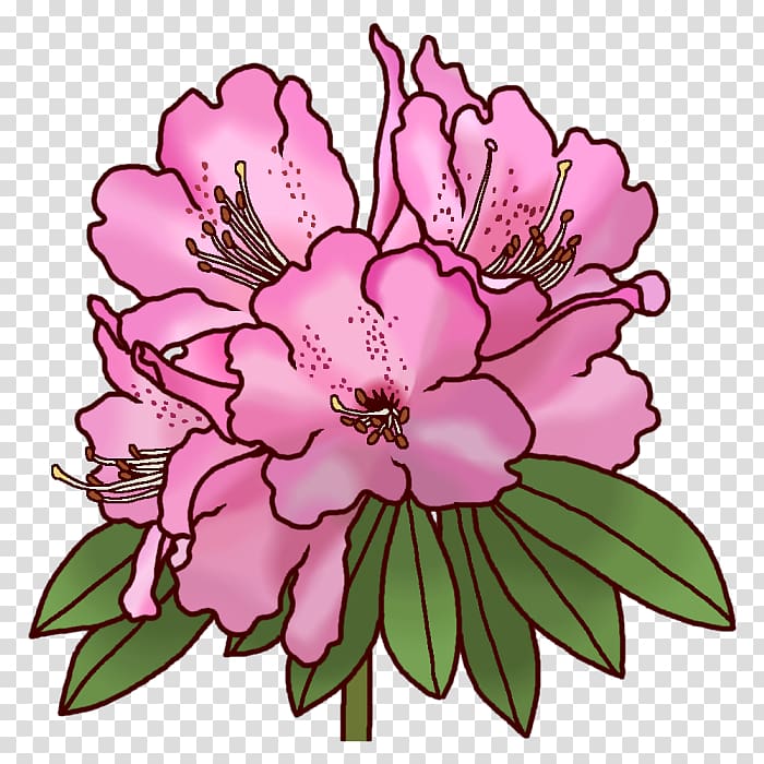 Rhododendron subg. Hymenanthes Koka 滋賀県レクリエーション協会 Floral design Rhododendron brachycarpum f. nemotoanum, ohana transparent background PNG clipart