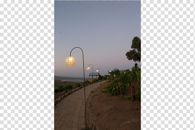 Viansa Sonoma Wine Country Property Street light, warm wedding transparent background PNG clipart