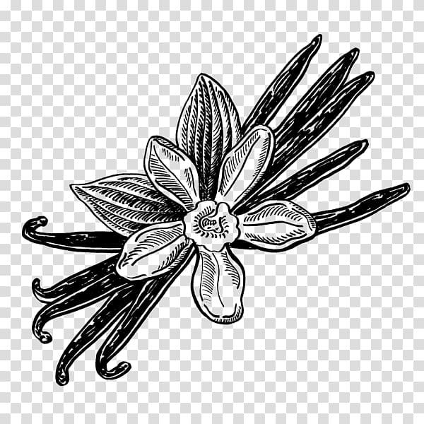 Flower Body Jewellery White, flower transparent background PNG clipart