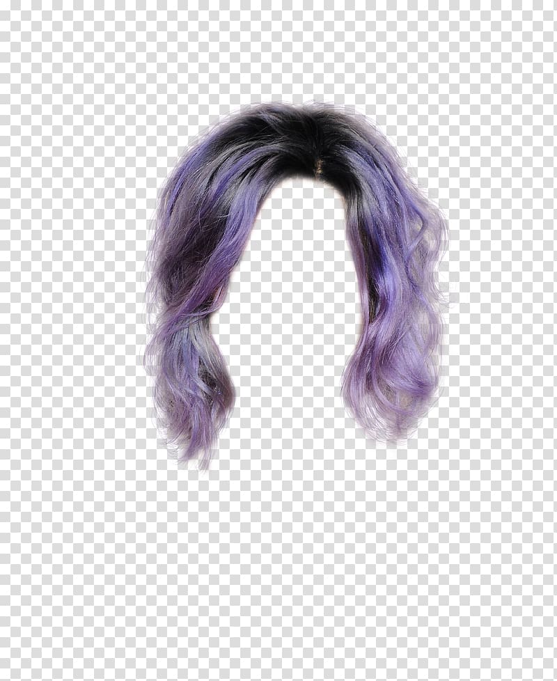 Fur Hair tie Hair coloring Wig, Hair Comb transparent background PNG clipart
