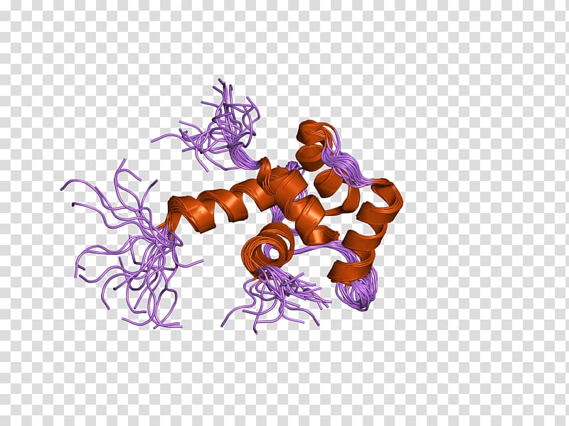 Centrin 1 Centrin 2 Protein family, Xeroderma Pigmentosum transparent background PNG clipart
