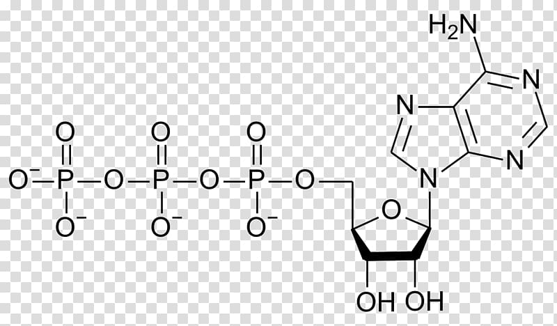 Adenosine triphosphate Chemical formula Adenosine diphosphate Adenosine monophosphate ATP synthase, Dna Cytosine5methyltransferase 3a transparent background PNG clipart