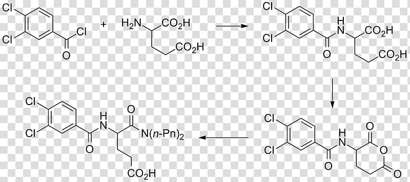 Molecule Water Simple lipid Amphiphile Drawing, water transparent background PNG clipart