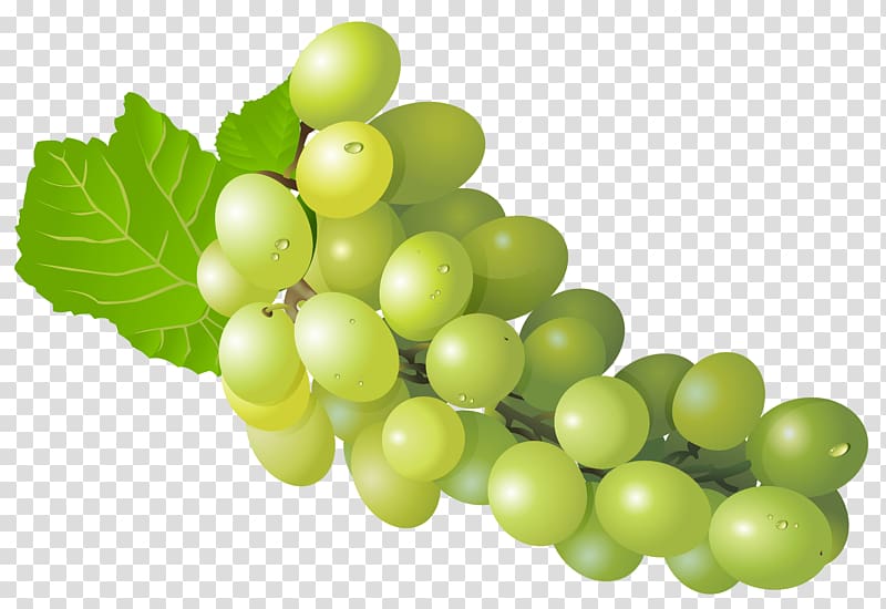 Wine Grape Zante currant , grape transparent background PNG clipart