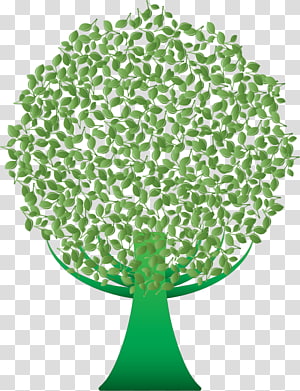 Tree Desktop , tree transparent background PNG clipart thumbnail