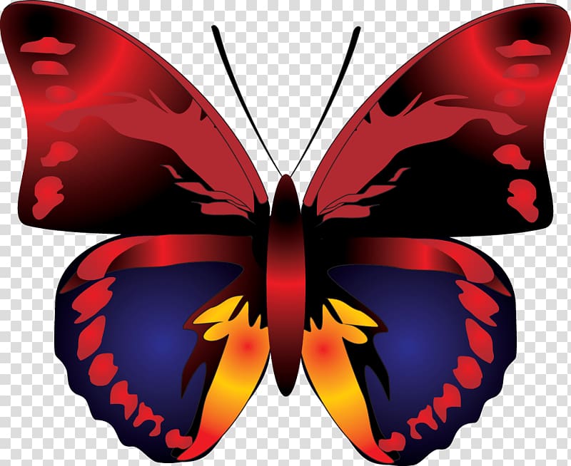 Butterfly Red , Butterfly transparent background PNG clipart