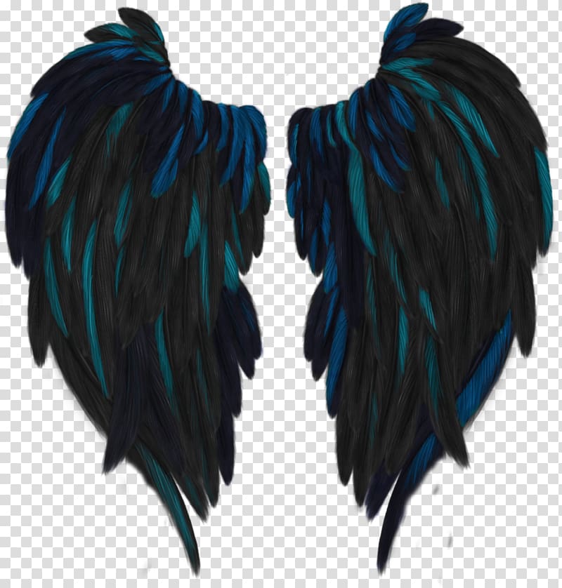 Hush, Hush Fallen angel YouTube, wings transparent background PNG clipart