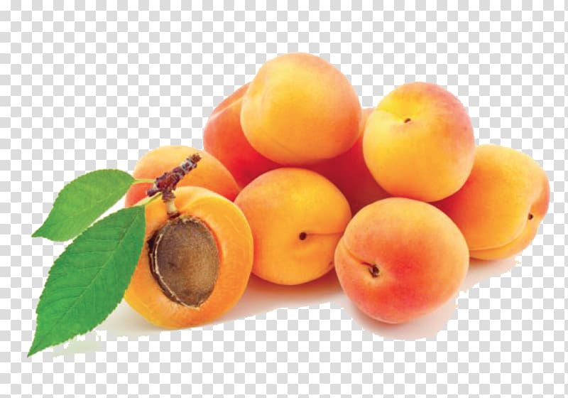 Apricot Dried Fruit , apricot transparent background PNG clipart