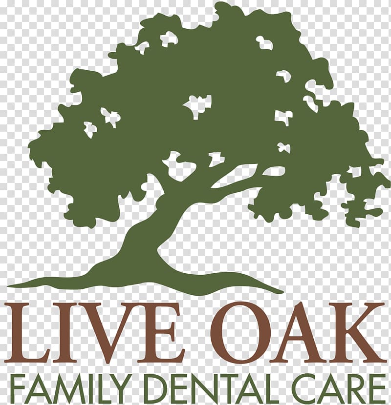 Dentistry Safety syringe Patient Village Oaks Dental, Live Oak Elementary Teachers transparent background PNG clipart
