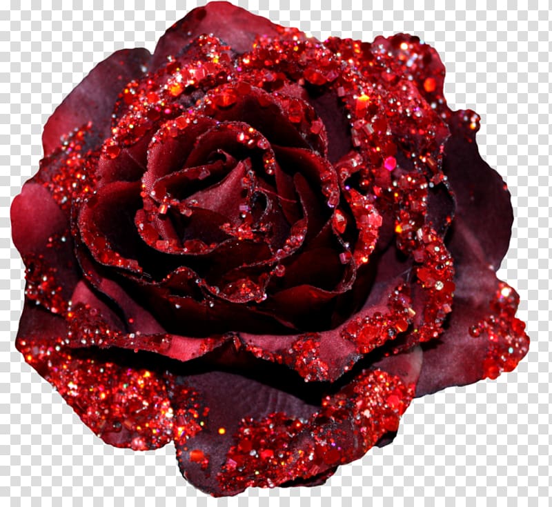 Garden roses Glitter Red , rose transparent background PNG clipart