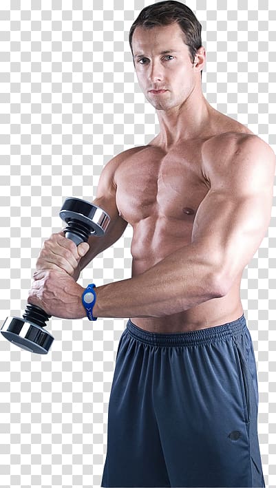 Shake Weight Dumbbell Man Exercise Muscle, dumbbell transparent background PNG clipart