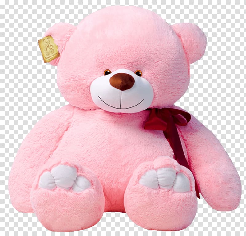 Teddy bear transparent background PNG clipart