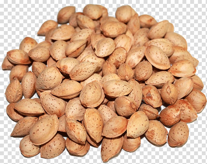 Srinagar Almond Nut Dried Fruit Wholesale, almond transparent background PNG clipart