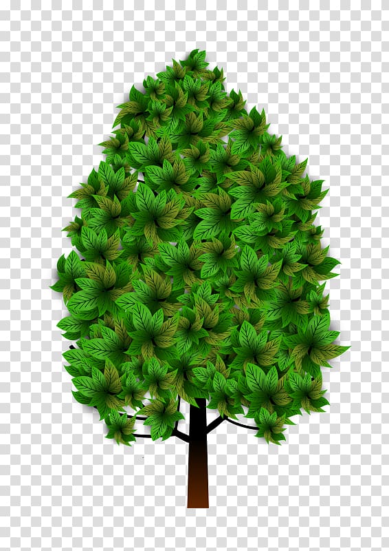 Spruce Pine Fir Larch Branch, tree transparent background PNG clipart