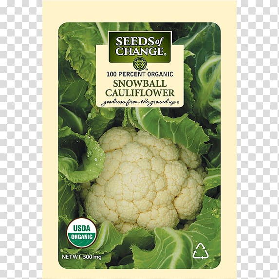 Cauliflower Broccoli Organic food Golden Bantam, cauliflower transparent background PNG clipart