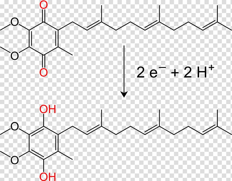 Ubiquinol Coenzyme Q10 Arnas katea Chemistry Molecule, citric acid cycle transparent background PNG clipart