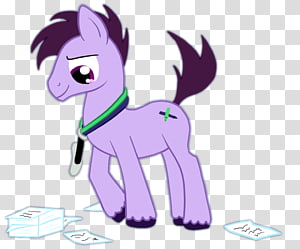 Horse Carnivora Organ , horse transparent background PNG clipart thumbnail